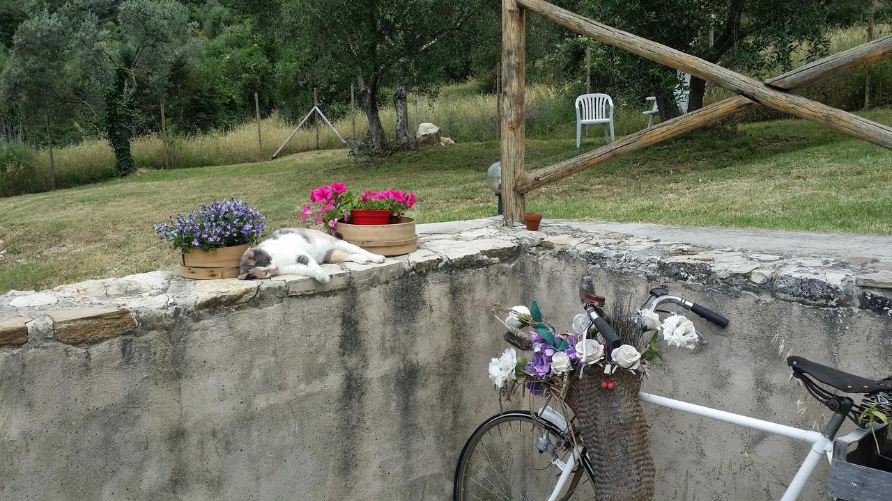 B&B Le Torri Di Firenze Fiesole Dış mekan fotoğraf
