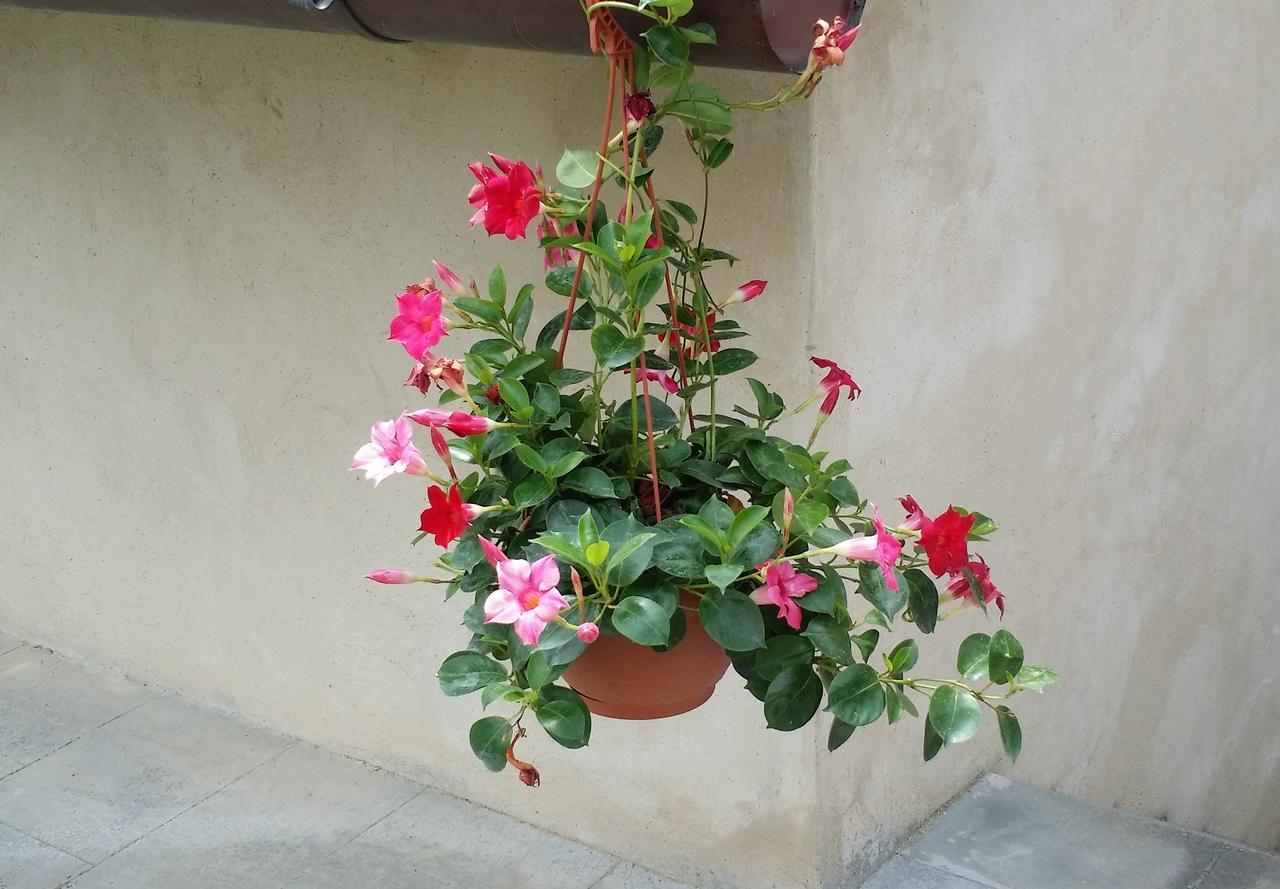 B&B Le Torri Di Firenze Fiesole Dış mekan fotoğraf